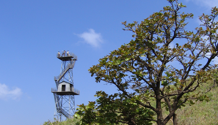 keralas wayanad,kerala tourism,tourist places in kerala,wayanad places,travel,holidays,tourism