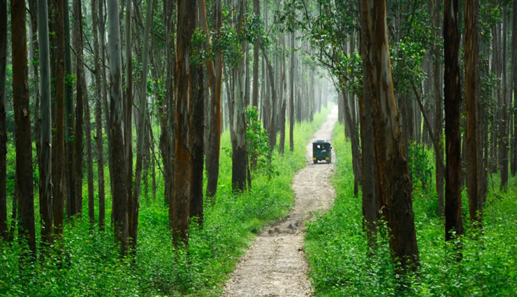 wayanad tourist attractions,best places to visit in wayanad,wayanad travel guide,explore wayanad beauty,hidden gems in wayanad,wayanad sightseeing spots,top tourist destinations in wayanad,wayanad travel tips,nature spots in wayanad,historical places in wayanad,wayanad hill stations,wayanad adventure spots,wayanad cultural landmarks,offbeat places in wayanad,must-visit places in wayanad,discovering wayanad charm,wayanad travel recommendations,wayanad vacation ideas,unexplored places in wayanad,wayanad itinerary suggestions