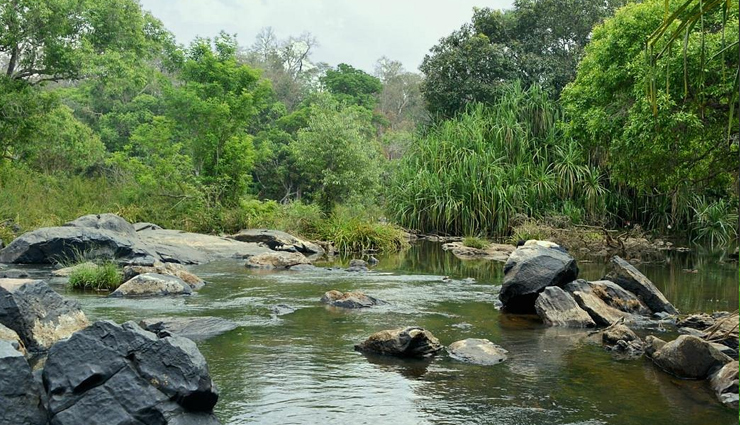 wayanad tourist attractions,best places to visit in wayanad,wayanad travel guide,explore wayanad beauty,hidden gems in wayanad,wayanad sightseeing spots,top tourist destinations in wayanad,wayanad travel tips,nature spots in wayanad,historical places in wayanad,wayanad hill stations,wayanad adventure spots,wayanad cultural landmarks,offbeat places in wayanad,must-visit places in wayanad,discovering wayanad charm,wayanad travel recommendations,wayanad vacation ideas,unexplored places in wayanad,wayanad itinerary suggestions