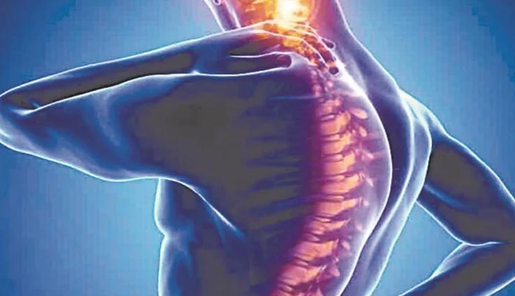 ये 4 चीजें पूरी करेगी शरीर में कैल्शियम की कमी, दूर होगा जोड़ों का दर्द 