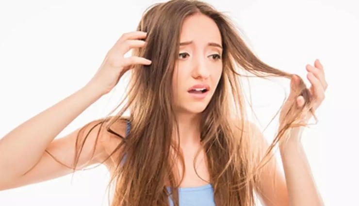 benefits of using moringa oil,beauty benefits of moringa oil,beauty tips,beauty hacks,benefits of moringa oil for hair,benefits of moringa oil for skin,benefits of moringa oil for hair growth,benefits of moringa oil for natural hair,benefits of moringa oil for acne,benefits of moringa oil on skin and hair,benefits of applying moringa oil,benefits of moringa oil for face,list of moringa oil benefits