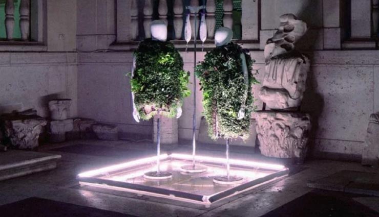 weird news,weird dress,wearable vegetable garden,vegetables on cloth