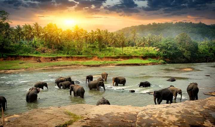 these places of chhattisgarh become the first choice for pre-wedding photoshoot capture memorable pictures,holiday,travel,tourism