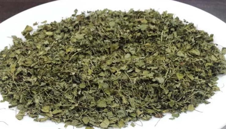 पूरे परिवार पर भारी पड़ी गांजे को मेथी समझने की गलती, सब्जी खाकर हुआ यह हादसा