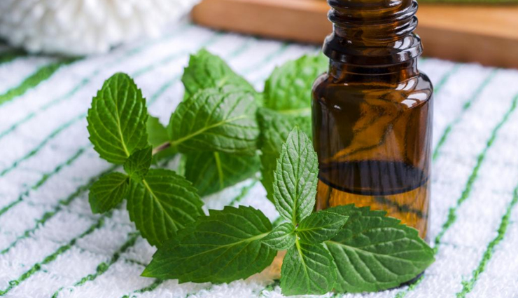 essential oils for weight loss,aromatic oils for weight management,best essential oils for shedding weight,effective essential oils for healthy weight loss,natural oils aiding in weight management,benefits of essential oils for weight reduction,essential oils and weight loss synergy,aromatherapy for effective weight management,top essential oils for shedding pounds,essential oil blends for weight loss,natural remedies for weight management,aromatic support for healthy weight loss,essential oil benefits for body weight,using essential oils for effective weight control,weight loss benefits of aromatic oils,essential oils promoting healthy metabolism,aromatic blends for enhancing weight loss,essential oils for appetite control,natural weight loss solutions with essential oils,aromatherapeutic aid for effective weight shedding