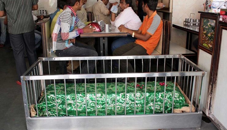 weird news,weird information,weird place,unique restaurants,new lucky restaurants,ahmedabad,restaurants surrounded by many tombs