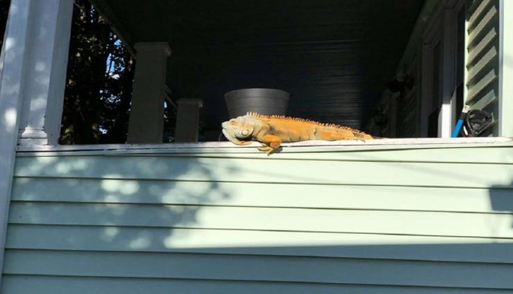 पुलिस को मिली ऐसी अजीबोगरीब शिकायत कि करना पड़ा उन्हें फेसबुक पर पोस्ट, मांगी सलाह