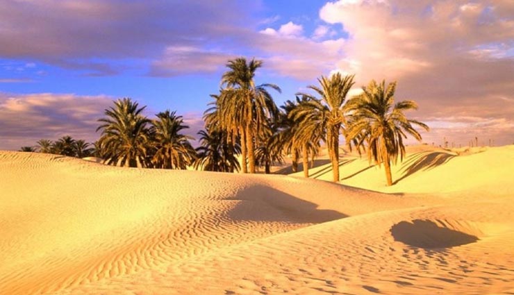 दुनिया के सबसे बड़े गर्म रेगिस्तान से जुड़ी है कई रहस्यमयी बातें weird news,weird desert,sahara desert,mysterious desert,largest hot desert