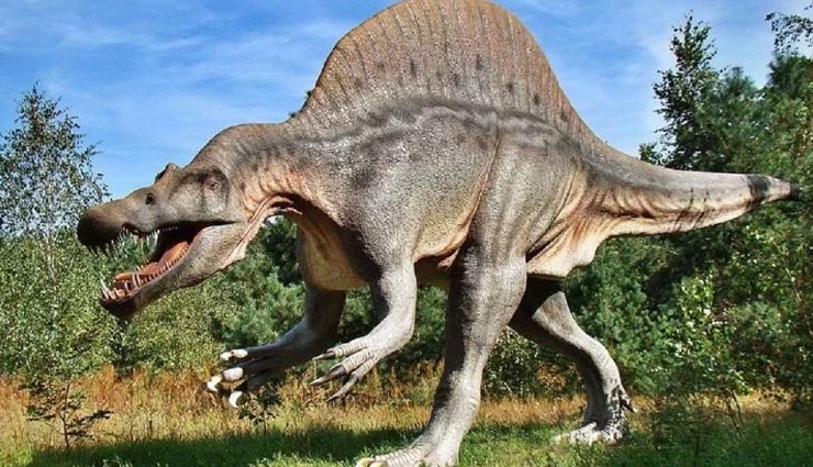 weird news,weird dinosaur,worlds smallest dinosaur,990 lakh year old amber,myanmar ,अनोखी खबर, अनोखा डायनासोर, दुनिया का सबसे छोटा डायनासोर, म्यांमार 