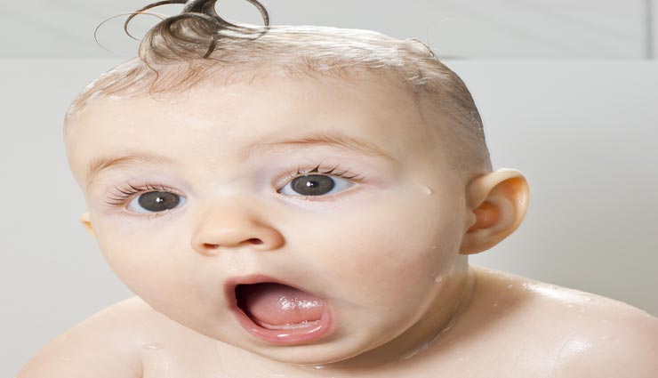 माइक नाम का मुर्गा बिना सिर के रहा 18 महीने तक जीवित, जानें कुछ ऐसे ही अनसुने रोचक किस्से