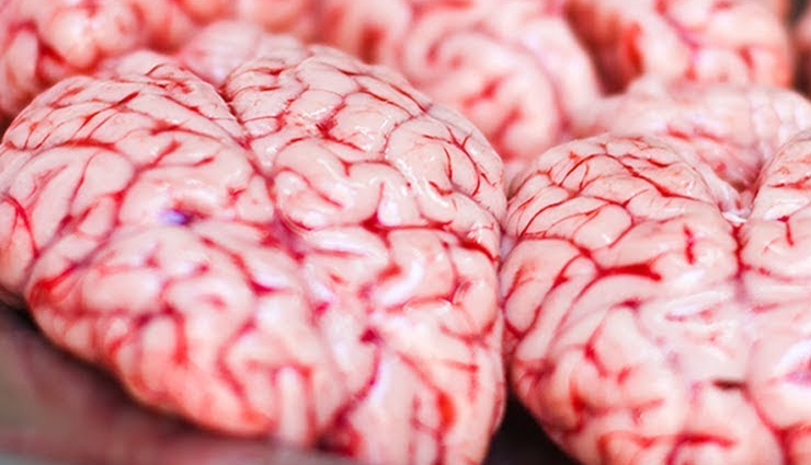 भारत के इन 10 अजीबोगरीब खानपान को चखने के लिए होना पड़ेगा थोड़ा निडर