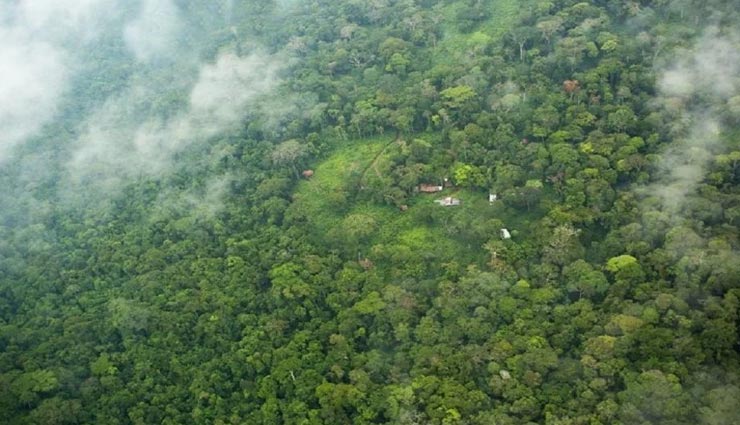 दुनिया के इस जंगल के कई हिस्सों में इंसानों का पहुंच पाना नामुमकिन weird news,weird information,interesting facts,congo rainforests