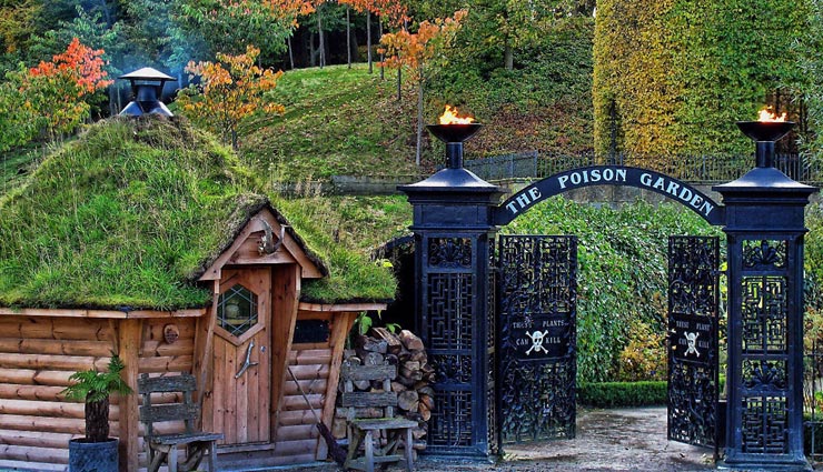 जहरीले पेड़ों से भरा है ये गार्डन, पल भर में ले सकता है आपकी जान weird garden,poison garden,alnwick poison garden,england poison garden