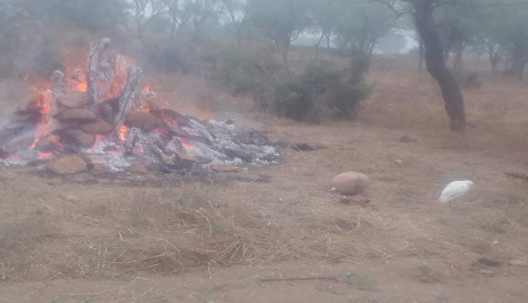 शख्स के प्रति बगुले का ऐसा प्यार! 2 घंटे तक अर्थी पर और तपन के बावजूद बैठा रहा चिता के बगल में