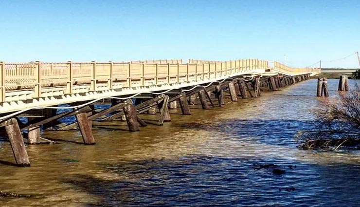 weird news,weird island,pheasant island,unique island