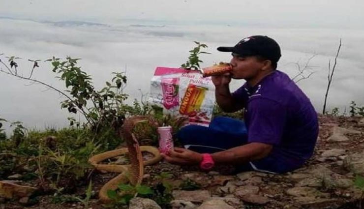 weird news,weird incident,weird love story,man got married with snake