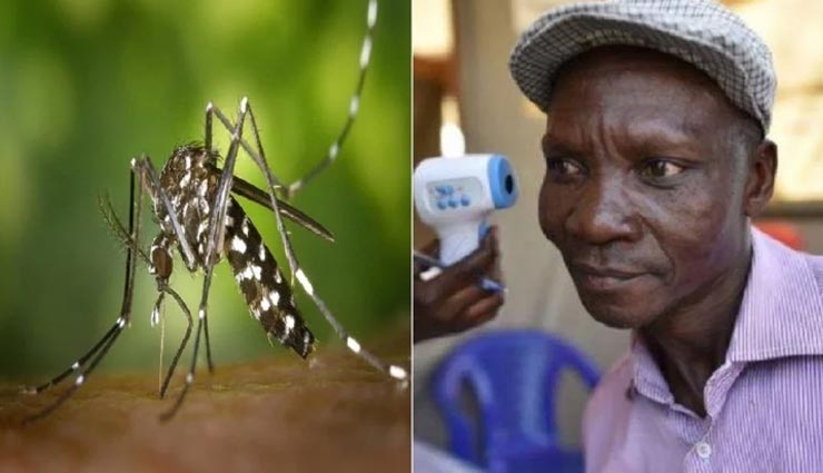 इस शख्स का फार्ट बना मच्छरों का काल, छोड़ता हैं जहरीली गैस