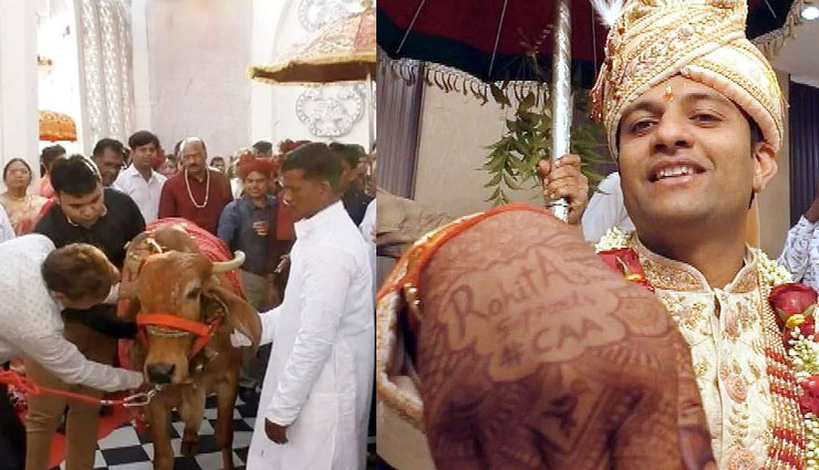 गुजरात की अनोखी शादी, बारात में गाय बनी वीआईपी गेस्ट, दूल्हे ने हाथों में लगाई CAA की मेहंदी
