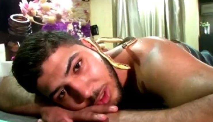 weird news,weird massage,snake massage,egypt