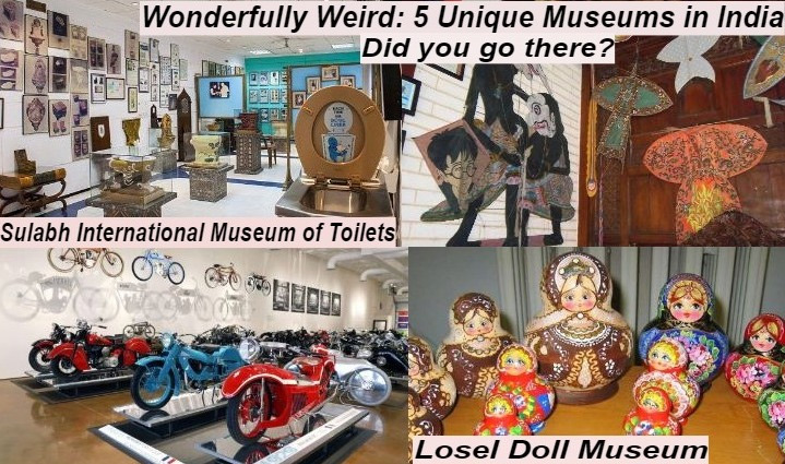 weird museum in india,india,museum