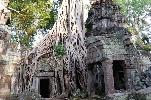 weird things,weird things in cambodia,cambodia,things to do in cambodia,siem reap