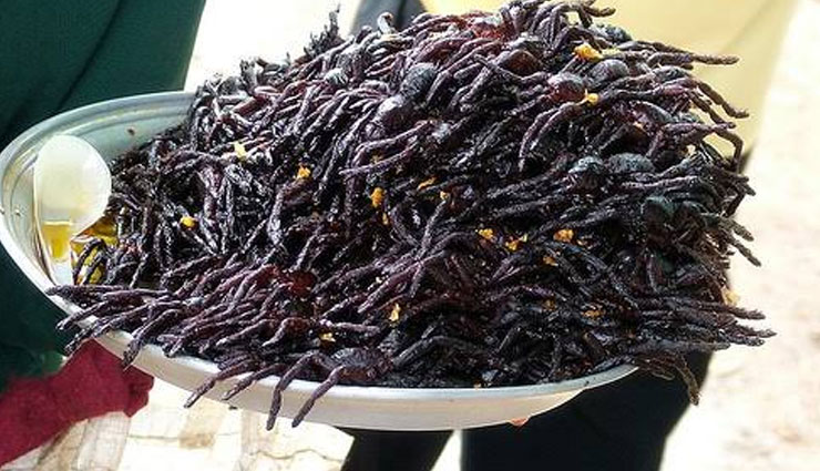 5 Weird Things Cambodia is Famous For