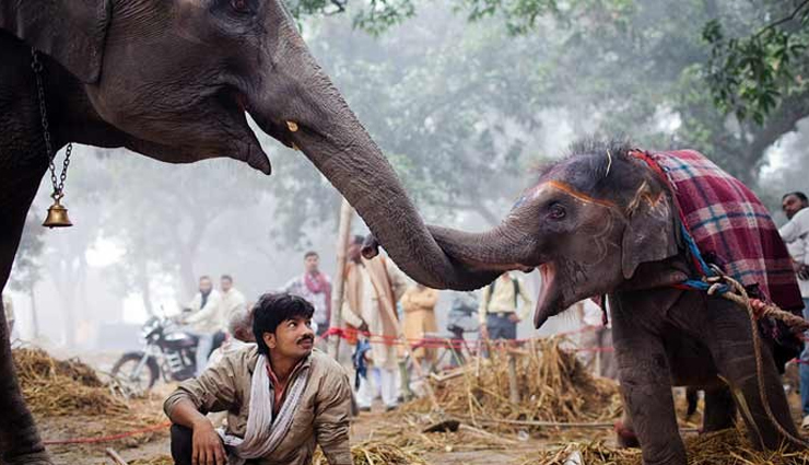 आपको भी सोचने पर मजबूर कर देंगे भारत के ये 5 अजीबों गरीब बाजार 
