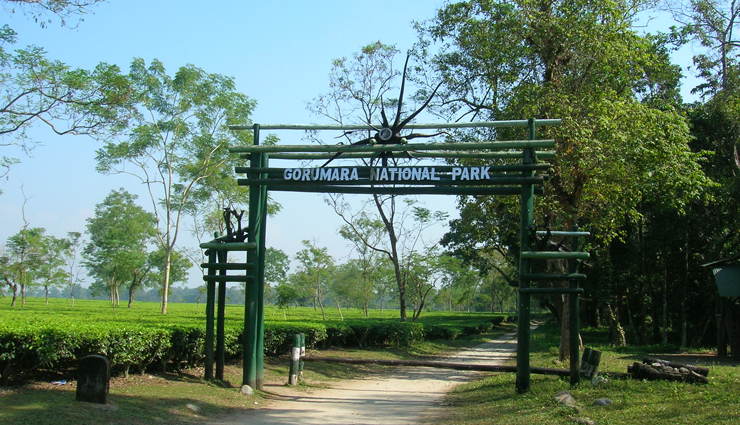 west bengal,wildlife sanctuaries in west bengal,singalila national park,jungle safari at jaldapara national park,jungle safari at gorumara national park,north east wildlife tour,sunderbans & kaziranga wildlife tour,manas wildlife tour & others