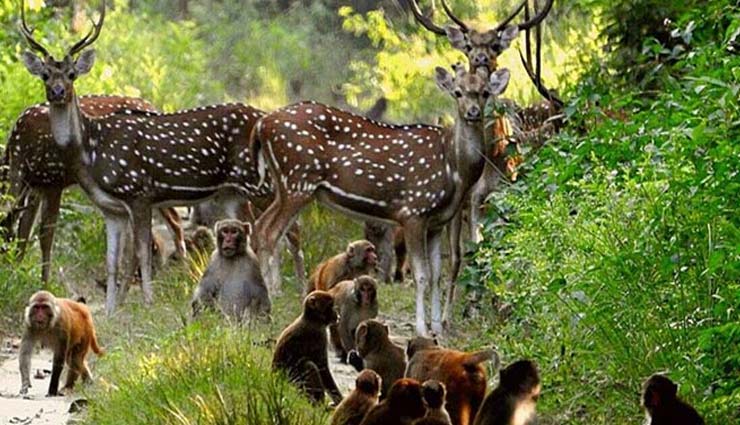 4 Not To Miss National Parks in Western India