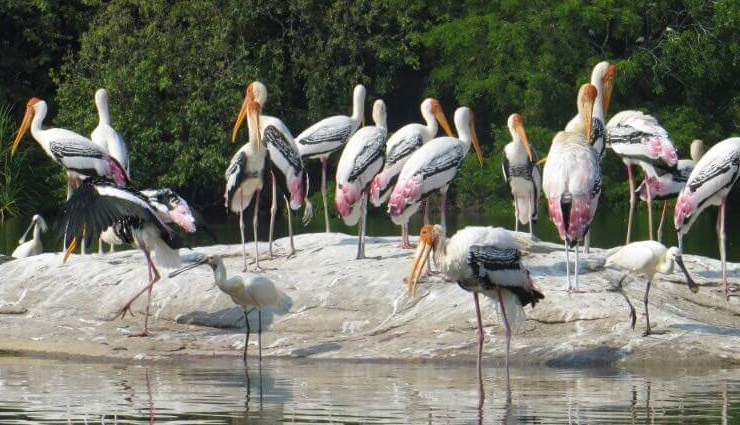 diwali celebration,noisy diwali celebration,calm places to escape from noisy diwali celebration,travel,travel tips,calm places to visit worldwide