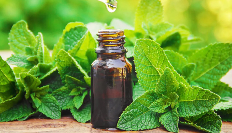 cough,home remedies for cough,wet cough remedies,Health tips,fitness tips,health tips in hindi