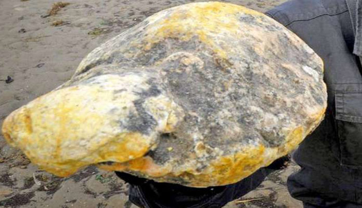 man arrested,whale vomit ambergris,weird story