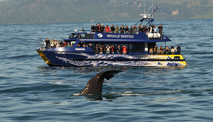 new zealand,adventure activities in new zealand,new zealand travel,new zealand travel advisory,travel,foreign destinations