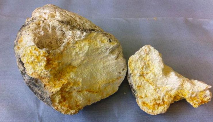 केरल : 30 करोड़ रुपए की 19 किलो व्हेल की उल्टी के साथ गिरफ्तार हुए 3 लोग