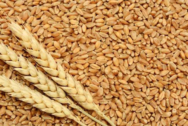 sawan month 2018,sawan 2018,shivji