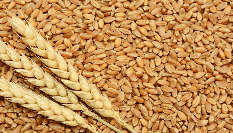 astrology tips,wheat save,keep in mind,vaastu tips,maa annapurna blessings