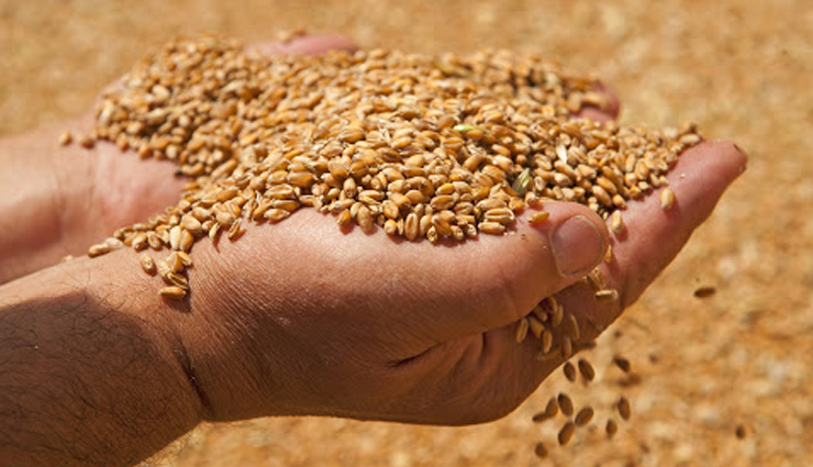 bones strong,food for bones strong,bones strong tips,Health,Health tips