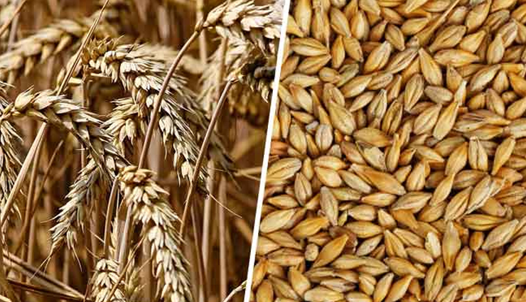 home pregnancy test,diy pregnancy test,pregnancy test without a kit,natural pregnancy test methods,homemade pregnancy test,ways to check pregnancy at home,home remedies for pregnancy detection,self-administered pregnancy test,home pregnancy test accuracy,early signs of pregnancy at home