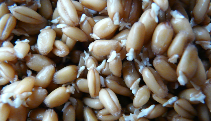 strong bones,food to get strong bones,bones,Health,Health tips