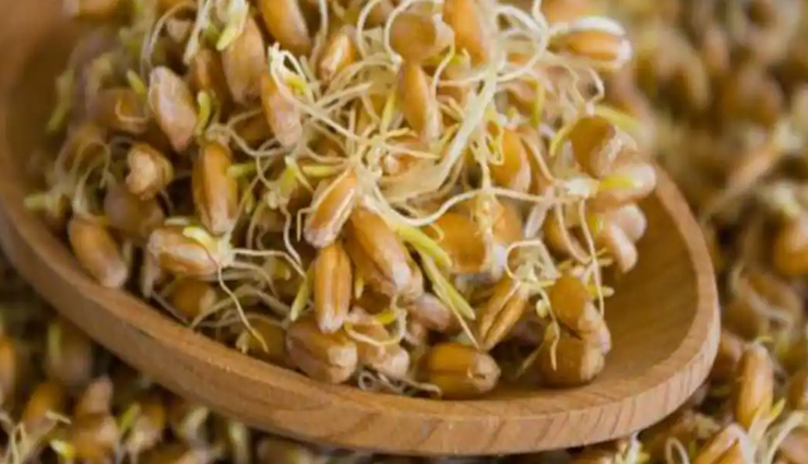 foods that are rich in zinc,zinc rich foods,healthy living,Health tips,health benefits of consuming  zinc,sources of zinc