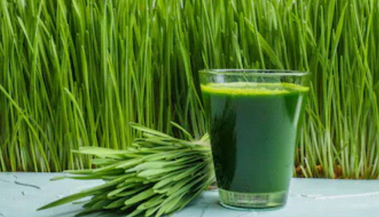 wheatgrass,wheatgrass juice benefits,wheatgrass benefits to control diabetes,healthy food wheatgrass,Health,Health tips
