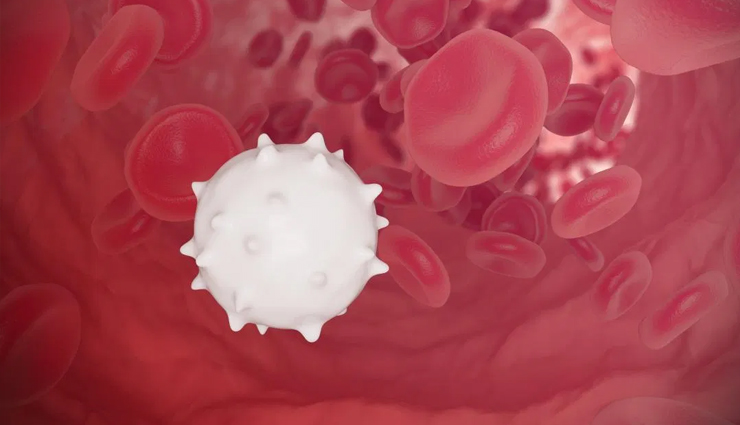 11 Natural Ways To Increase White Blood Cell
