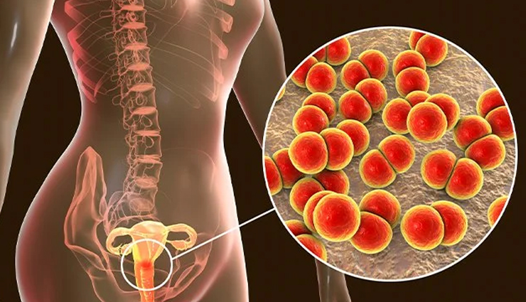 white discharge during pregnancy,types of vaginal discharge in pregnancy,pregnancy discharge guide,vaginal secretions during gestation,clear white discharge in pregnancy,milky white discharge during gestation,thick white discharge while pregnant,watery white discharge in pregnancy,normal vaginal discharge during pregnancy,abnormal discharge warning signs,pregnancy vaginal health,discharge changes and pregnancy health,managing discharge discomfort in pregnancy,pregnancy discharge care tips,maintaining vaginal hygiene during gestation,comfortable pregnancy discharge wear,infection risk and pregnancy discharge,abnormal discharge causes in pregnancy,seeking medical advice for discharge concerns,discharge and pregnancy complications