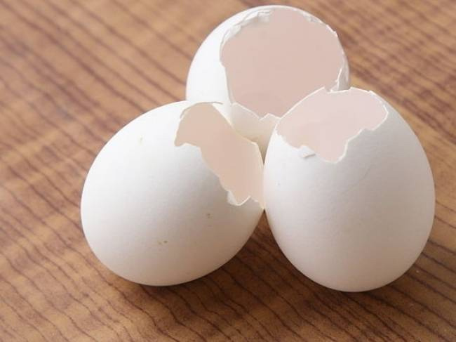 stretch marks,home remedies for stretch marks,beauty,beauty tips