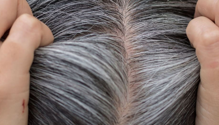 ghee hair treatment,benefits of ghee for hair growth,ghee hair mask benefits,ghee for hair care,how to use ghee for hair,ghee benefits for scalp health,homemade ghee hair remedies,ghee hair conditioning benefits,ghee for hair strength,natural hair care with ghee,ghee hair treatment recipes,ghee benefits for dry hair,ghee for split ends,ghee hair nourishment,ghee hair massage benefits