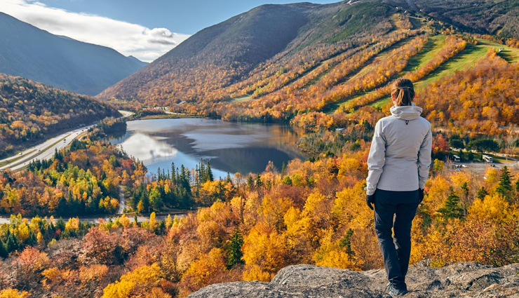 forest camping,forest camping across the world,world tourism,holidays,travel guide