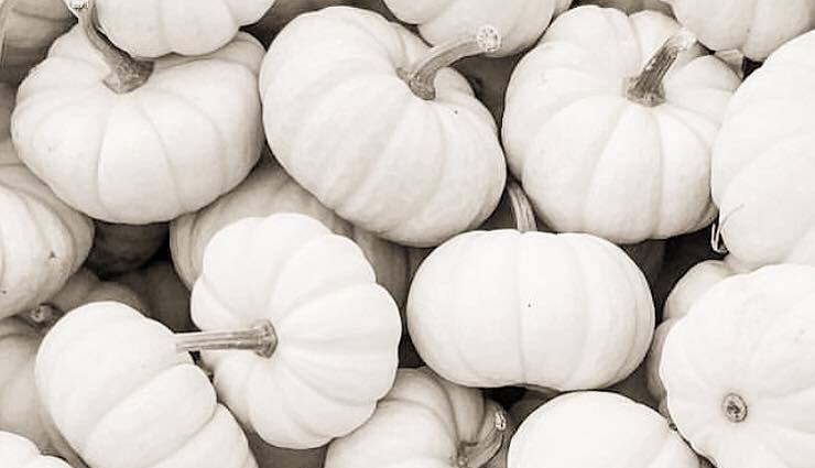 white pumpkin,pumpkin,healthy living,Health tips