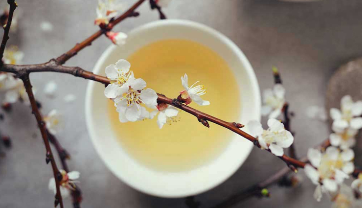 Unlock the Surprising Benefits of White Tea: 17 Proven Revelations