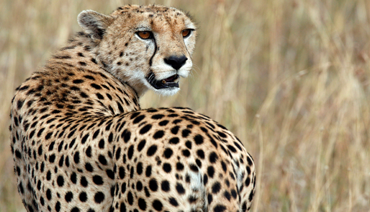 vastu tips,vastu tips in hindi,morning mistake