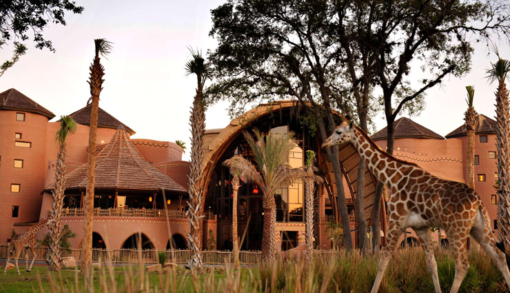 hotels near wild animals,wildlife hotels worldwide,lodges near wildlife habitats,stays with animals around the world,hotels near nature reserves,accommodations near wildlife sanctuaries,unique stays with wild animals,wildlife-friendly hotels,nature-inspired hotel experiences,hotels amidst natural habitats,safari lodges worldwide,nature retreats with wildlife,hotels by animal reserves,animal-friendly accommodations,wildlife-centric hotel stays,eco-resorts near wildlife,lodgings amidst nature reserves,experiential stays with animals,unique wildlife accommodations,hotels with animal encounters